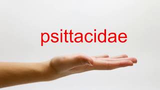 How to Pronounce psittacidae  American English [upl. by Foster]