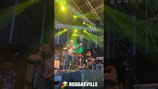 GROUNDATION  SUNRISE REGGAE amp SKA FESTIVAL in Germany 2024 [upl. by Reifel415]