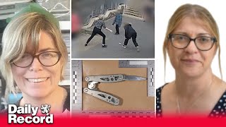 CCTV captures moments before girl stabbed two teachers and fellow pupil at Welsh school [upl. by Hacim895]