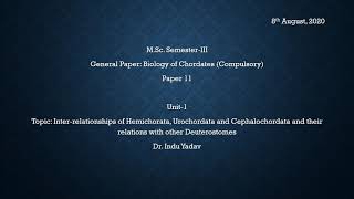 Inter relationship of Hemichorata Urochordata and Ciphalochordata I [upl. by O'Neil]