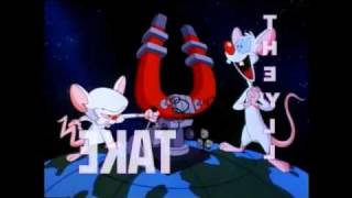 Pinky Y Cerebro  Opening Latino [upl. by Llerrit]