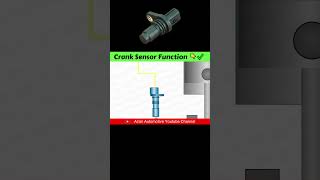 Crank Sensor Function cranksensor location autoelectrician shorts [upl. by Voorhis]