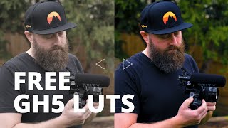 FREE GH5 LUT PACK  GH5 Cinematic LUTS for the NATURAL COLOR Profile  LUMIX GH5 Color Grading [upl. by Odlaniger]