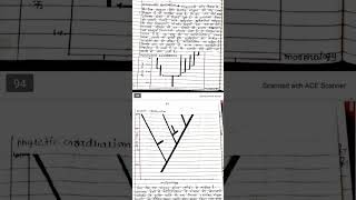 Phylogenetic gradualism and punctuated equilibrium msc zoology 1sem msc zoology notes [upl. by Budd]