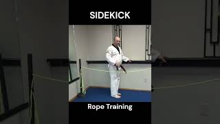 Taekwondo Sidekick Rope Drill [upl. by Alguire]