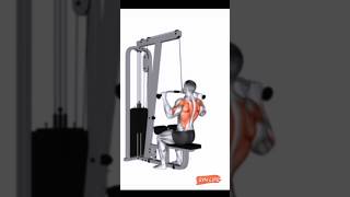 Back workout 🏋☠shorts backworkout gymlife gymmotivation aryankandari fyp viral trending 🔥🔥 [upl. by Vihs]