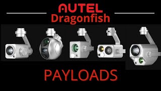 Autel Dragonfish  Payloads [upl. by Decamp]