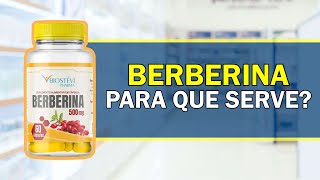 Para que Serve Berberina  Bula Simples [upl. by Branham]