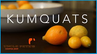 How To Make Kumquat Cordial OR Shrub [upl. by Auqinaj908]