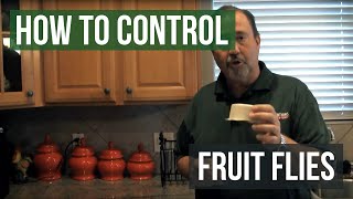 How to Control Fruit Flies [upl. by Procora]