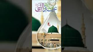 Jashan Milad Asan Eid Milad un Nabi viralshort viralvideo islamicstatus [upl. by Diskin]