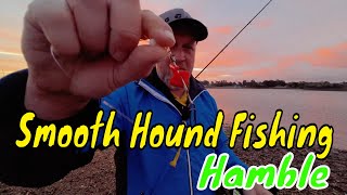 Sea fishing UK Smooth Hound Fishing  Round 2 at Hamble  Southampton [upl. by Mafala]