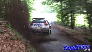 Rallye Vosges Grand EST 2024 By Rigostyle [upl. by Dun]