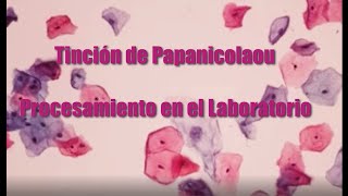 Tinción de Papanicolaou Procedimiento en el Laboratorio🔬🔬 No se olviden de suscribirse 👍👍🤝🤝‼️‼️ [upl. by Nylegna607]