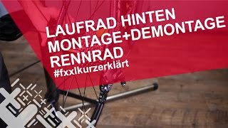 Rennrad Hinterrad ausbauen amp einbauen  fxxlkurzerklärt [upl. by Bechler]