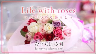 Life with roses 〜バラのある暮らし〜 ひぐちばら園 [upl. by Aneela233]