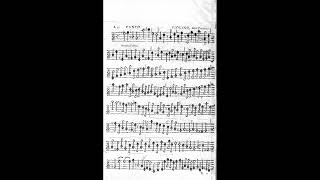 Tarquinio Merula  Sonata prima per Violino over Cornetto 1624 [upl. by Ahsieym]