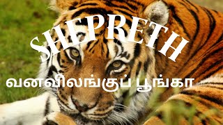 Shepreth Wildlife Park ஷெபர்த் வனவிலங்குப் பூங்கா Prem Thamizhachi4k [upl. by Fabrin]