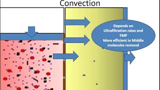 Prof Hesham Elsayed  Basic Principles of Hemodialysis part I [upl. by Filahk]