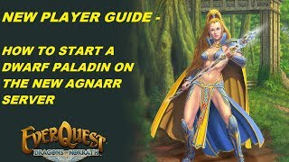 EVERQUEST GUIDE  How to start a Dwarf Paladin on the new Agnarr Server 1080p [upl. by Asaret]