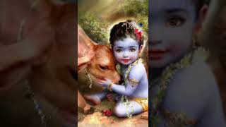 Tum mere aashiqon mein rota hai Krishan ki short video krishnastatus krishnabhajan krishna [upl. by Ettenig]