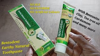 Bentodent Natural toothpaste review  The best Natural toothpaste in India  YOU WILL BE SHOCKED [upl. by Enneillij]