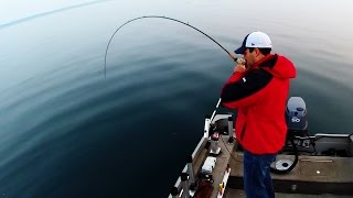 Salmon amp Lake Trout Jigging Technique [upl. by Raoul]