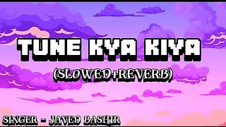 Tune kya kiya lofislowedreverb  javed bashi  V2 lofi [upl. by Carling386]