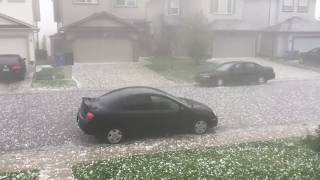 CRAZY GOLFBALL SIZED HAIL STORM IN CALGARY [upl. by Htenaj]