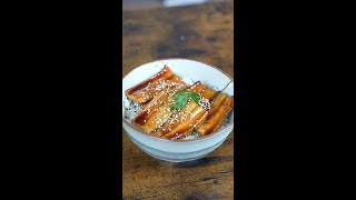 10Minute Unagi Don [upl. by Refinnaej]