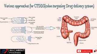 allaboutpharma pharmaceutics pharmacy Various approaches for Colon Targetting Drug Delivery Sy [upl. by Idroj439]