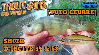 🐟S01E13TUTO LEURRE PRÉSENTATION DE LEURRE 1 SMITHDINCITE 44DINCITE 53POISSON NAGEUR [upl. by Tamarah581]