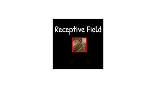 Receptive Field seberapa besar network melihat input [upl. by Nydroj]