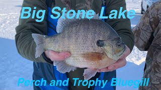 Big Stone Lake Seasonal Ice Fishing Patterns Perch and Big Bluegill [upl. by Drucie]