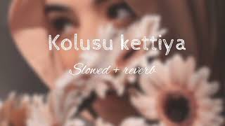 Kolusu kettiya slowed and reverbmappilasongs [upl. by Drawd506]