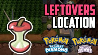 Where to Find Leftovers  Pokémon Brilliant Diamond amp Shining Pearl All Methods [upl. by Yelyak]