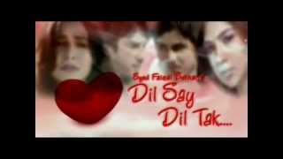 Dilse dil tak PTV home drama Official song SHAAKII [upl. by Pliam]