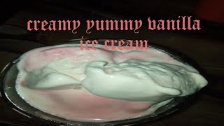 Homemade Ice cream using canned evaporated milk [upl. by Kevina]