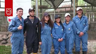 “Desarrollo de programas de conservación in situ de biotipos de gallinas y cerdosquot  ESPOCH [upl. by Wolenik]