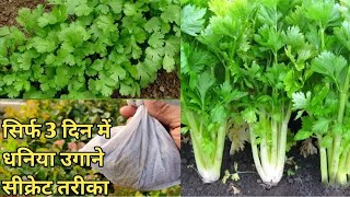 सिर्फ 3 दिन में धनिया उगाने का बिल्कुल नया तरीका 3 din me dhaniya kaise ugaye Coriander in 3 days [upl. by Ramar]