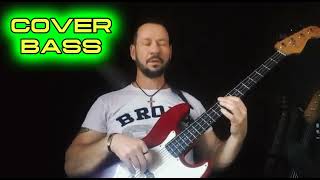 Red Hot Chili Pepper  flea bass  bass cover [upl. by Akenna]