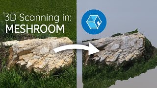 3D Scanning For Free With Meshroom [upl. by Aivato]