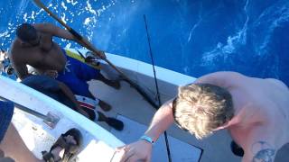 Deep Sea Fishing Manzanillo De Cuba [upl. by Champ880]