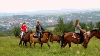 quotCztery pory roku na Farmiequot Farma Albert Korzenie [upl. by Akilak]