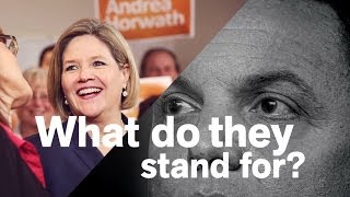 19 More Political Ads from the 2014 Ontario Provincial Election [upl. by Cut]