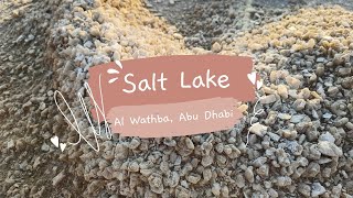 Salt Lake at Al Wathba Sabkha Abu Dhabi UAE [upl. by Friend439]