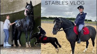 STABLES VLOG  saddle fitter jumping  tack shopping amp more [upl. by Aracat]