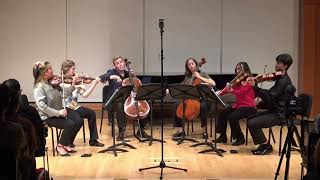 Brahms Sextet in G major mvts 1 amp 4 [upl. by Emmer]