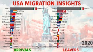 US Migration Trends Immigration amp Emigration Graphs 30 Years [upl. by Tierza484]