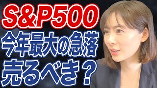 【米国株】SampP500に暗雲？リスクに備えた投資戦略とはどんなものか。 [upl. by Malan]